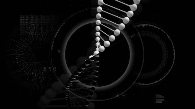 DNA-HUD-Animation