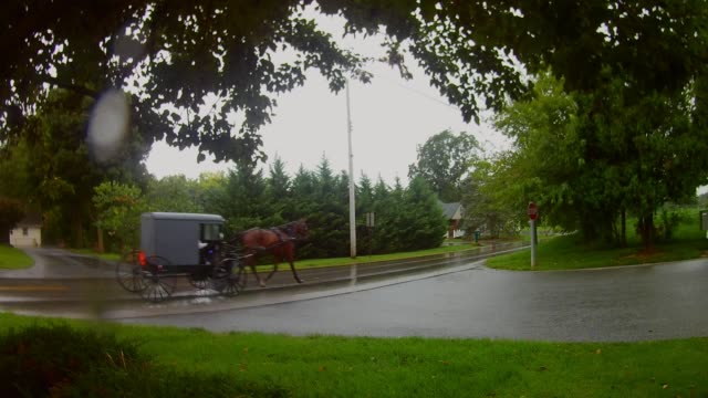 Amische-Transport-Typ-Pferd-und-Buggy-im-Regen