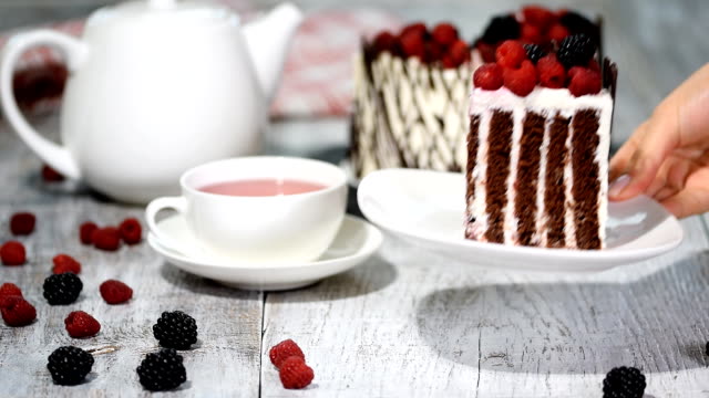 Trendy-rustic-vertical-roll-high-cake-with-chocolate,-vanilla-cream-and-berries.