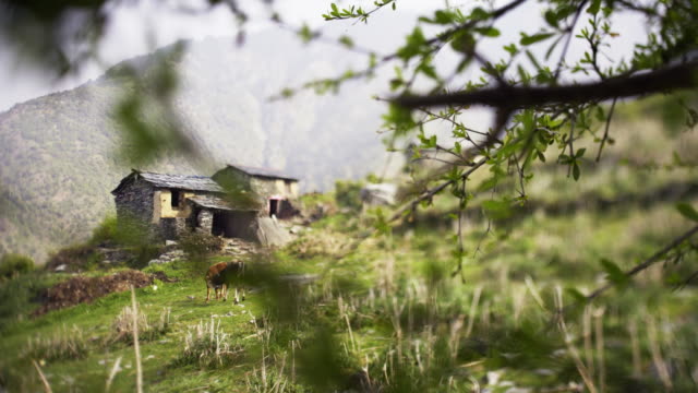 Peaceful-village-on-slope-of-Himalaya-mountains