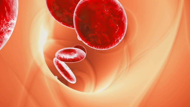 Blutkörperchen-durch-eine-Vene-zu-reisen