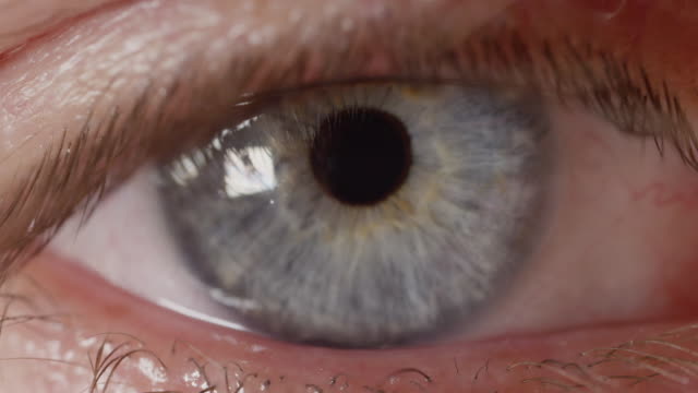 MACRO-DOF:-Tiro-de-Macro-del-ojo-masculino,-reorientación-de-iris-azul-intenso-a-latigazos