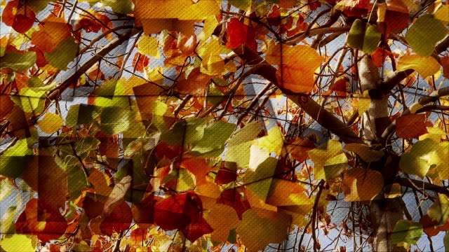 Leaves-of-trees