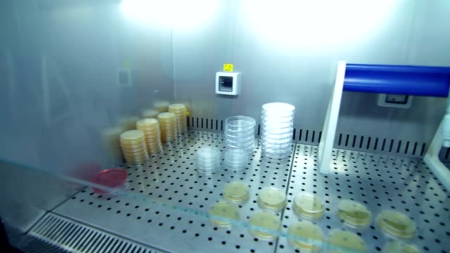 Cristalería-de-laboratorio-para-la-investigación-clínica.-Tubos-de-laboratorio-en-almacén-frigorífico