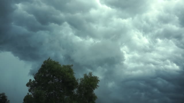 Starker-Wind-Bäume-schütteln.-Ansicht-des-Blitzes-in-Gewitterwolken.