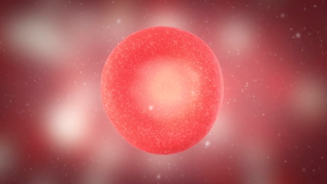 3D-Animation-von-roten-Blutkörperchen