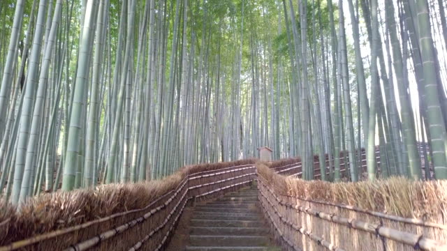 Gehweg-Bambus-Tunnel-benannt-Arashiyama-Bambuswald-in-Kyoto,-touristischen-Wahrzeichen-Japans