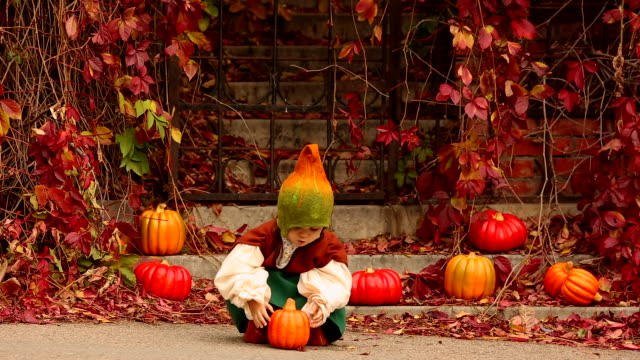 Linda-chica-en-un-traje-de-gnomo-recoge-calabazas-en-otoño-en-el-jardín
