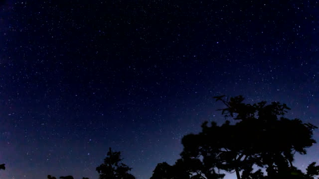 Timelapse-of-moving-star-trails-in-night-sky