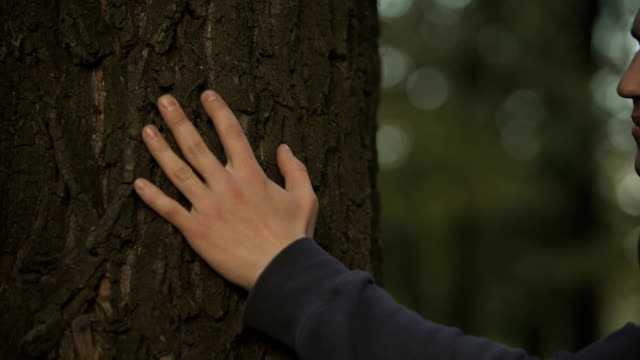 Hombre-tocando-y-abrazando-el-árbol-de-la-familia,-en-contacto-con-ancestros,-genealogía