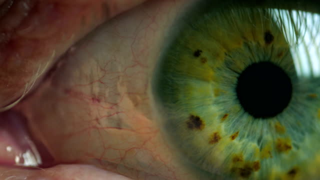 Menschliche-Auge-grüne-iris