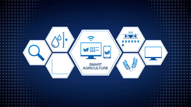 Smart-agriculture-Smart-farming,-hexagon-information-graphic-icon-on-barley-green-field,-internet-of-things.-4th-Industrial-Revolution.
