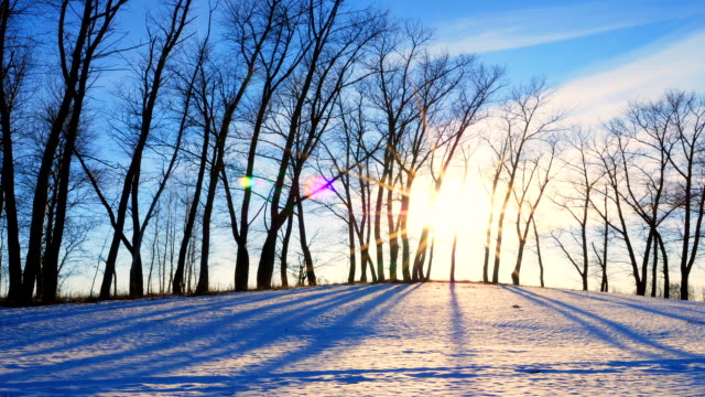 Sunset-in-the-winter-forest