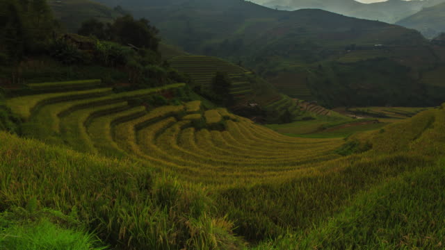 Reisfelder-auf-terrassierten-Mu-Cang-Chai,-YenBai,-Vietnam.-Reisfelder-bereiten-die-Ernte-im-Nordwesten-Vietnam.Vietnam-Landschaften.