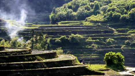 Rice-terraces-burning-for-farm-manur-4K-Time-Lapse