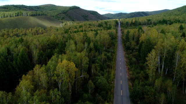 Aerial-Drone-Footage-View:Rising-up-from-trail-through-autumn-forests-landscape