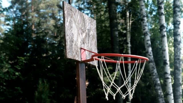 Aro-de-baloncesto-en-el-parque-entre-el-primer-plano-de-árboles.
