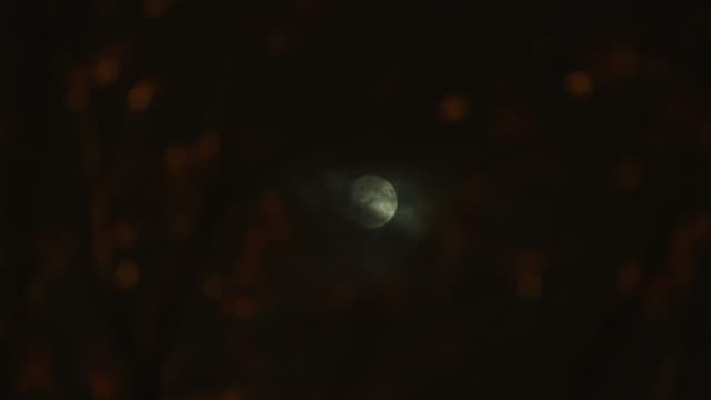 A-Realtime-Shot-of-the-Moon-at-Night
