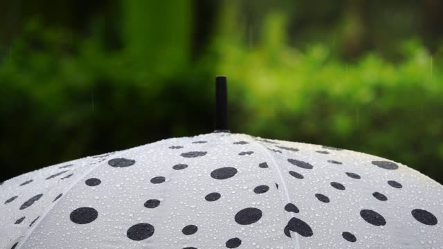 Paraguas-de-lunares-en-la-lluvia,-el-concepto-de-gestión-del-riesgo.