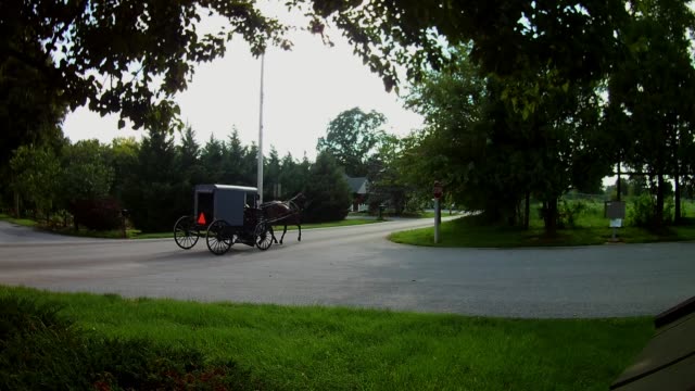 Buggy-y-Amish-transporte-tipo-caballo
