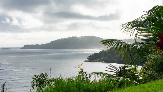 Waterfront-Nebel-Regen-Sonne-Strahlen-Timelapse-Palm-Bäume-Insel-Kauai-anzeigen