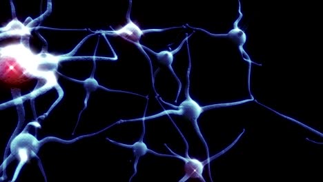 Blue-Neuron-synapse-network-with-red-electric-impulse-activity-able-to-loop