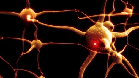 Real-Neuron-synapse-network-with-red-electric-impulse-activity-able-to-loop