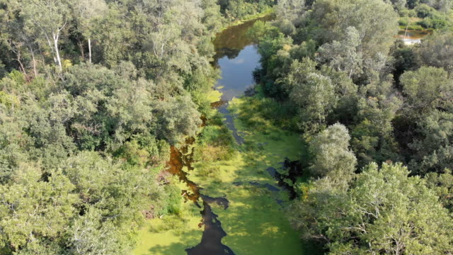 River-Bed---top-view-from-drone