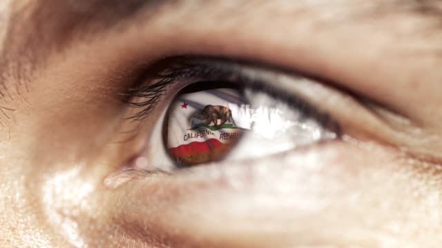 Man-with-brown-eye-in-close-up,-the-flag-of-California-state-in-iris,-united-states-of-america-with-wind-motion.-video-concept