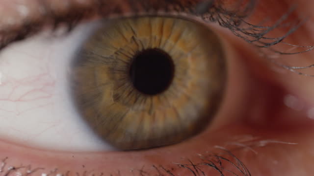 LENTA-de-cerca:-Vista-detallada-de-hermosos-ojos-verde-con-vetas-marrones.