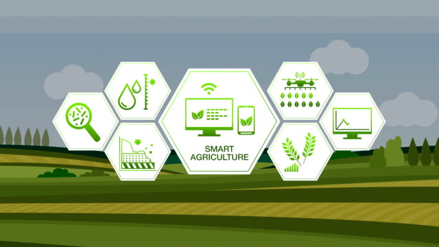 Intelligente-Landwirtschaft-Smart-Farming,-Sechseck-Grafik-Informationssymbol-auf-grünen-Gerstenfeld,-Internet-der-Dinge.-4.-industrielle-Revolution.2.