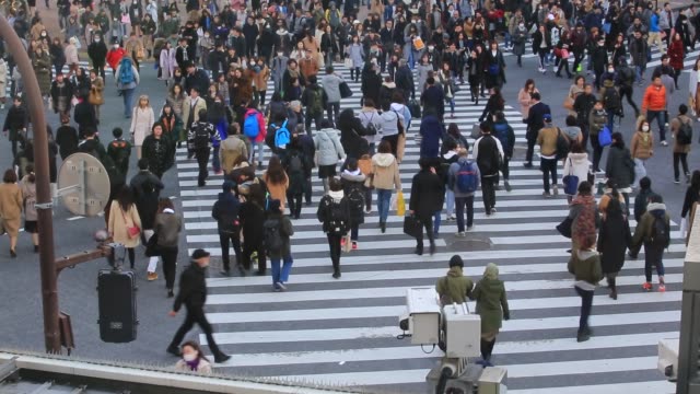 Fußgänger-in-Tokio-am-Zebrastreifen-Straße
