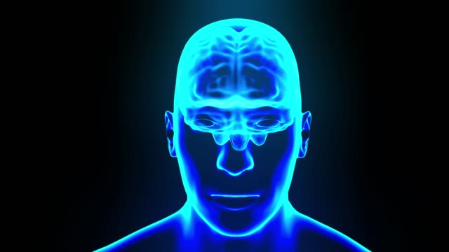 Brain-hologram-with-head-rotating-loop-4k
