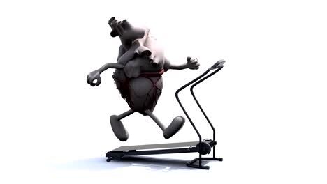 Órgano-del-corazón-humano-con-brazos-y-piernas-como-dibujos-animados,-en-una-máquina-de-runnin