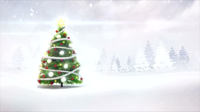 Christmas-tree-in-winter-nature-scenery-revelation-footage