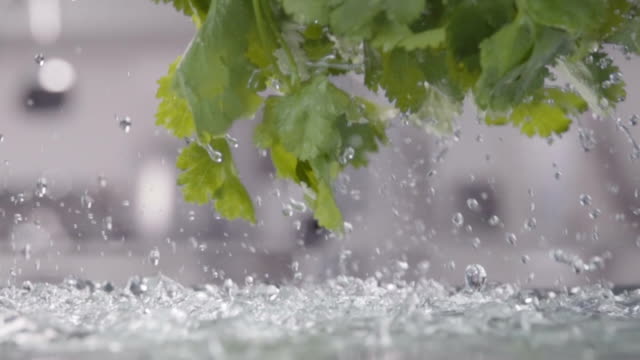 Shaking-of-coriander-above-the-wet-table.-Slow-motion