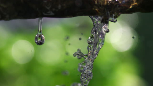 Slowmotion-water-running-down-a-branch-in-the-woods-in-front-of-green-background
