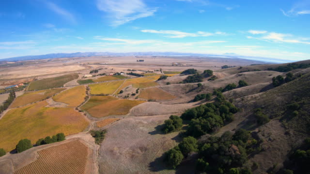 Sonoma-County-Vineyards-Aerial-View-California