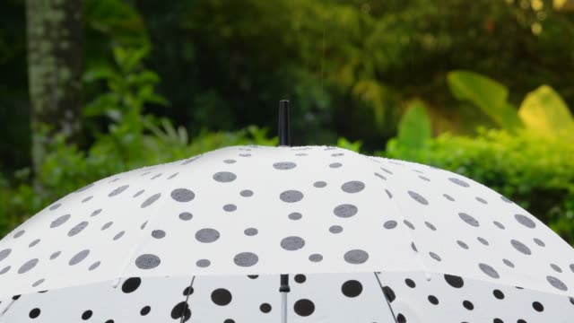 Polka-dot-umbrella-in-the-rain,risk-management-concept.