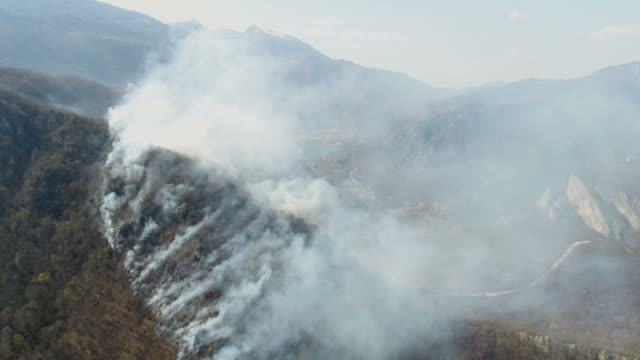 A-moving-aerial-footage-of-thick-smoke-in-the-woods-covering-the-whole-area