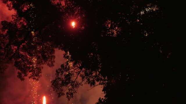 Feuerwerk-am-Nachthimmel-gesehen-durch-die-Bäume-in-Zeitlupe-explodierenden