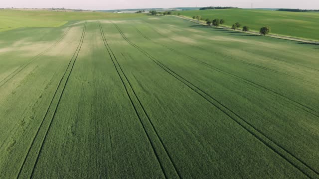 Green-fields-in-Moravia,-Czech-republic
Green-fields-in-Moravia,-Czech-republik
Green-fields-in-Moravia,-Czech-republik