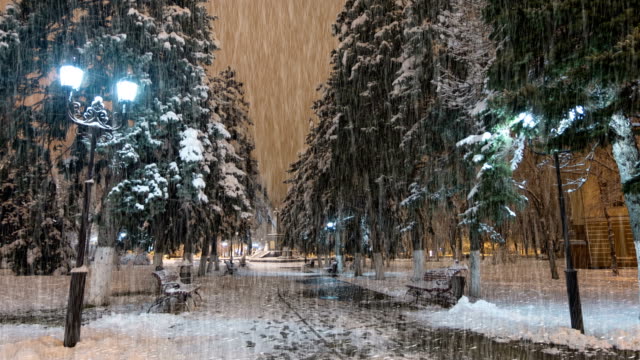 Nacht-Winterpark-mit-Regen