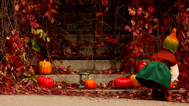 Cute-girl-in-the-costume-of-the-gnome-walks-in-the-garden-near-the-pumpkins-and-red-plants