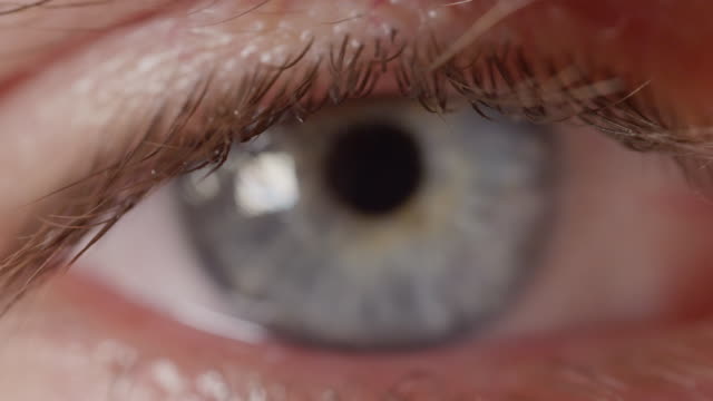 Makro-DOF:-Detail-der-lebendige-blaue-farbige-Augen-Blick-in-die-Kamera-und-nicht-blinken