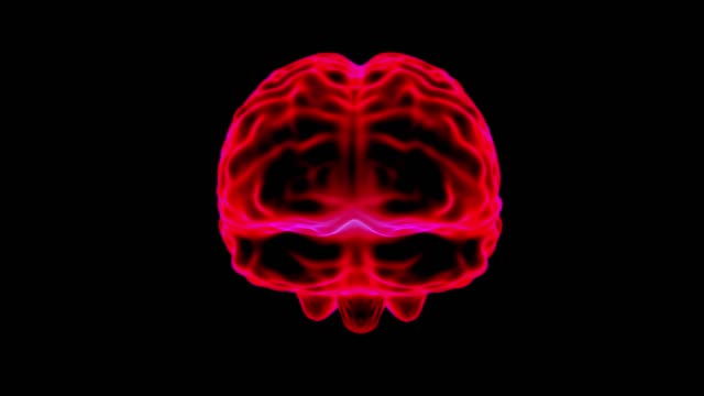 Gehirn-Hologramm-drehen-Schleife-4k