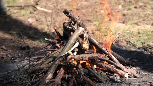 Brennen-in-den-Wald-Lagerfeuer-aus-trockenen-Zweigen