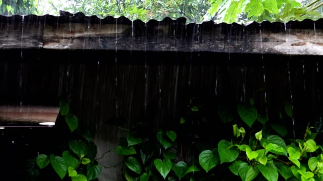 Rain-put-an-old-roof,-the-beauty-of-nature