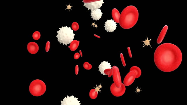 3D-animation-of-a-blood-with-red-cell-white-cell-and-platelet