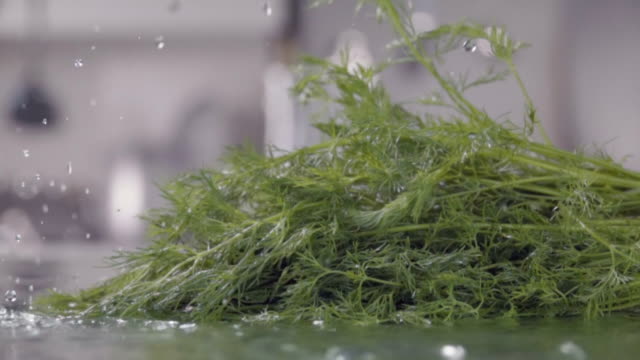 Falling-of-dill-into-the-wet-table.-Slow-motion-480-fps